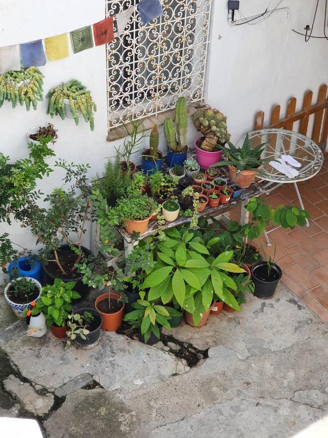 Casa Vera Vejer de la Frontera Dış mekan fotoğraf